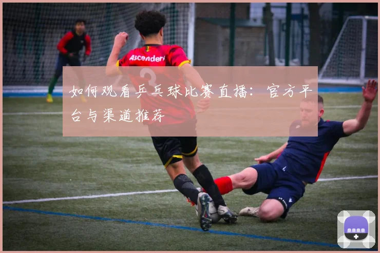 如何观看乒乓球比赛直播:官方平台与渠道推荐
