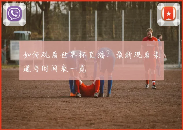 如何观看世界杯直播?最新观看渠道与时间表一览