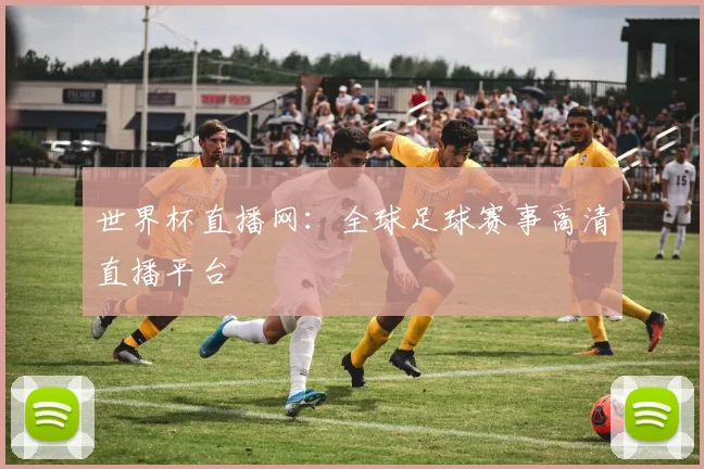 世界杯直播网:全球足球赛事高清直播平台