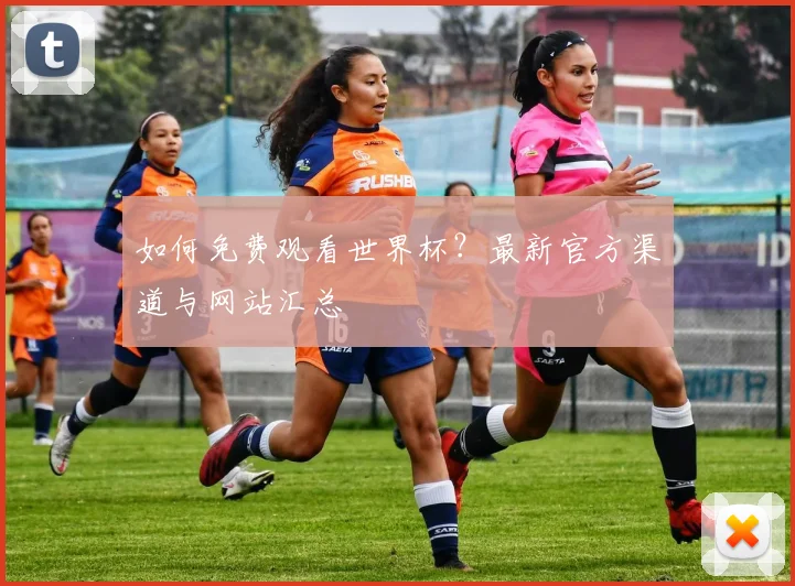 如何免费观看世界杯？最新官方渠道与网站汇总